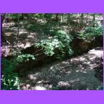 Dry Water Fall.jpg